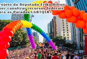 Projeto Erika Hilton
